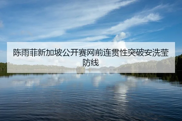 陈雨菲新加坡公开赛网前连贯性突破安洗莹防线