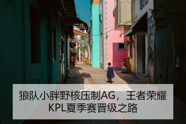 狼队小胖野核压制AG，王者荣耀KPL夏季赛晋级之路