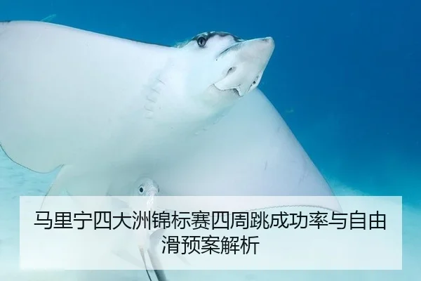 马里宁四大洲锦标赛四周跳成功率与自由滑预案解析