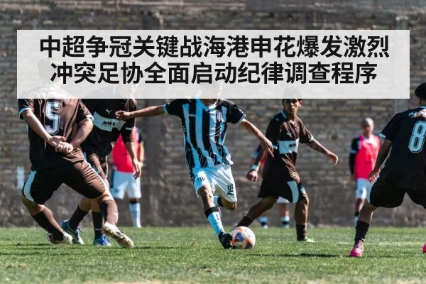 中超争冠关键战海港申花爆发激烈冲突足协全面启动纪律调查程序