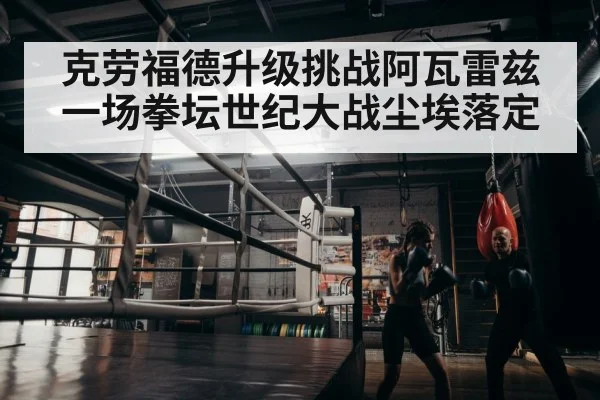 boxer training