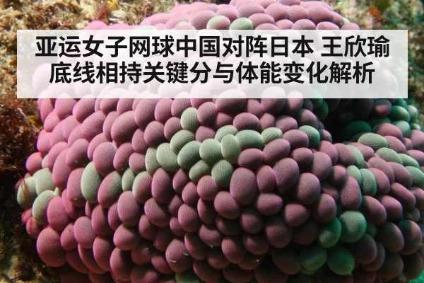 亚运女子网球中国对阵日本 王欣瑜底线相持关键分与体能变化解析